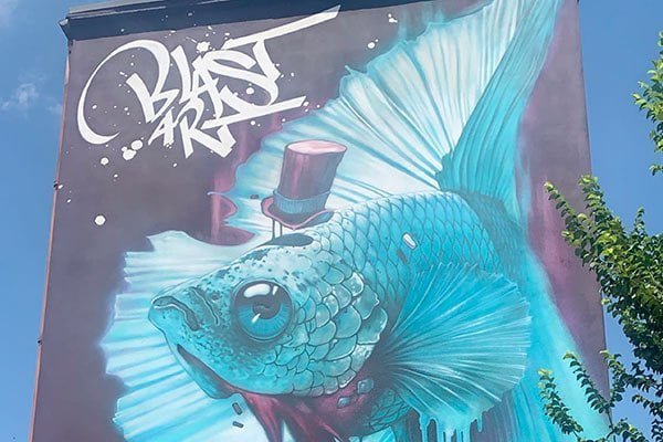 Visites scolaires Lyon street art