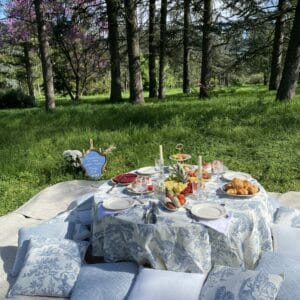 Pique-nique Contesse Oncity no-video